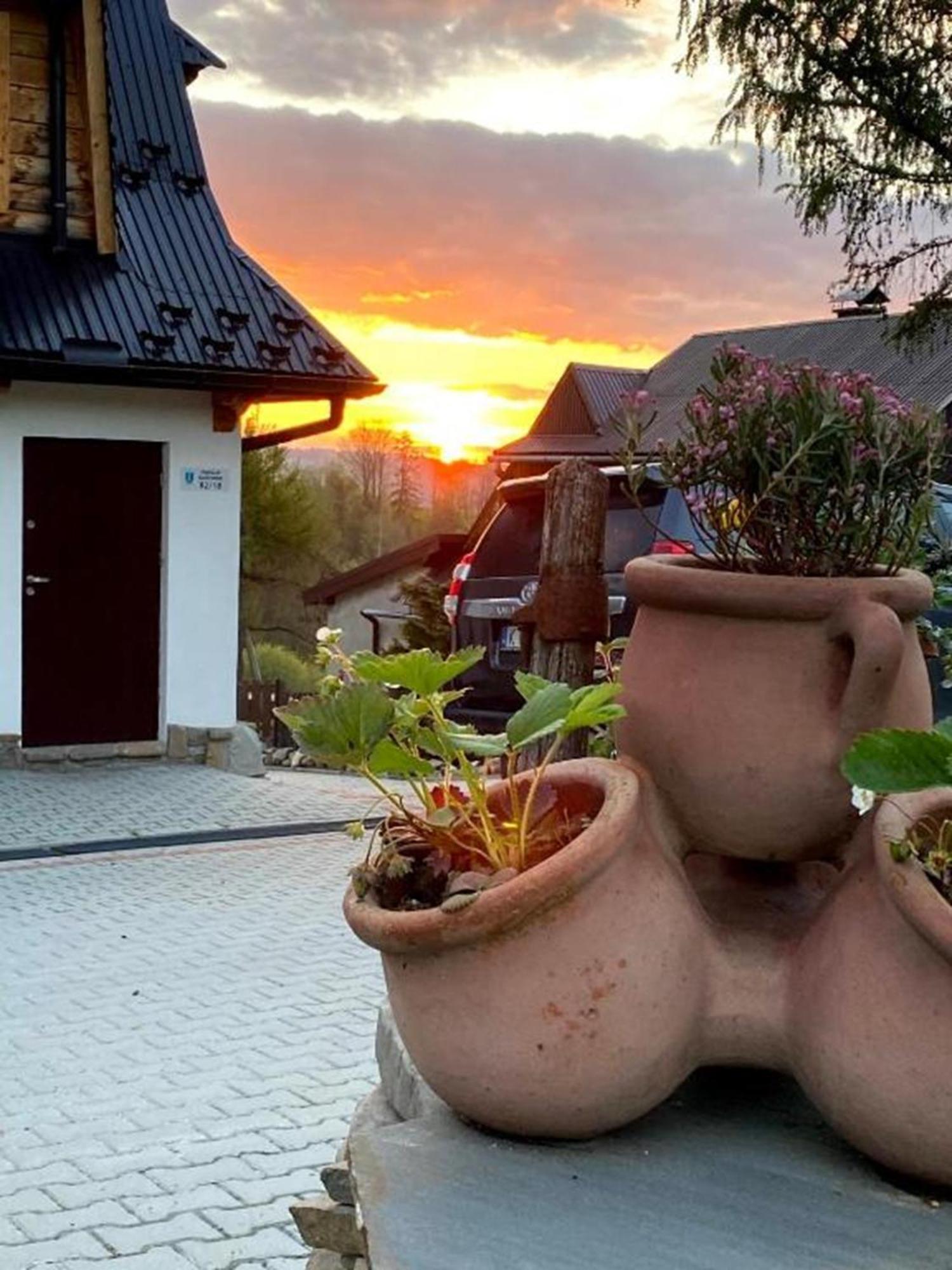 Domki I Apartamenty Na Wyskowkach Jacuzzi & Sauna Ζακοπάνε Εξωτερικό φωτογραφία